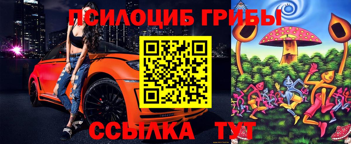 Сарапул  Галлюциногенные грибы мицелий  Вход с VPN 